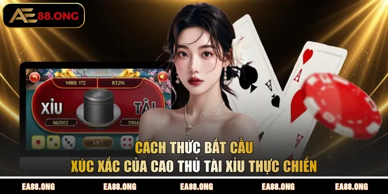 Cách thức bắt cầu xúc xắc của cao thủ Tài Xỉu thực chiến 