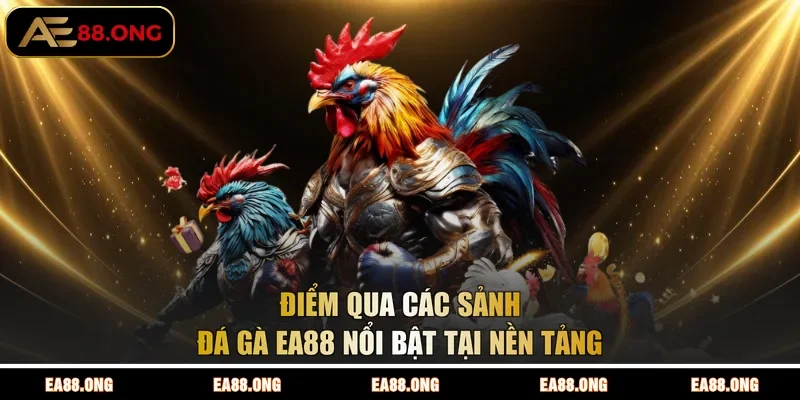 Điểm qua các sảnh đá gà EA88 nổi bật tại nền tảng