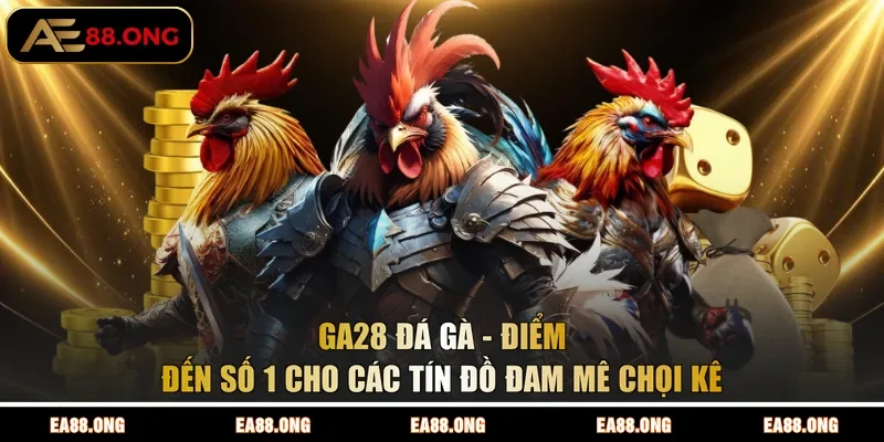 GA28 Đá Gà - Điểm Đến Số 1 Cho Các Tín Đồ Đam Mê Chọi Kê