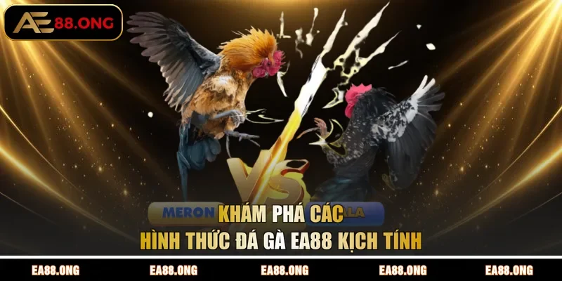 Khám phá các hình thức đá gà EA88 kịch tính