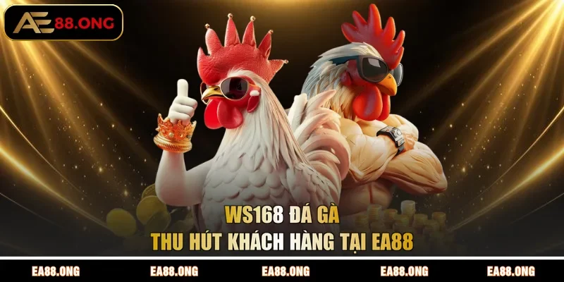 WS168 đá gà thu hút khách hàng tại EA88